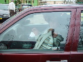 DSC03651.JPG