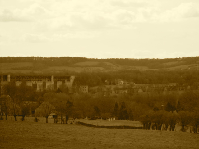 DSC03770