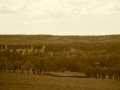 DSC03770