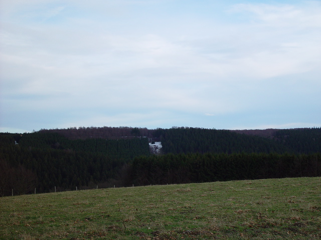 DSC03819