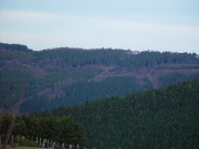 DSC03818