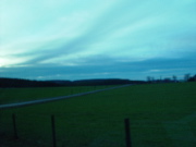 DSC03834