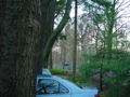 DSC05358.JPG