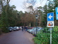DSC07275.JPG
