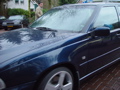 DSC07260.JPG