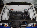 DSC03561.JPG