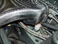 DSC03560.JPG