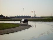 DSC03185.JPG