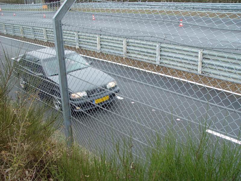 DSC07614.JPG