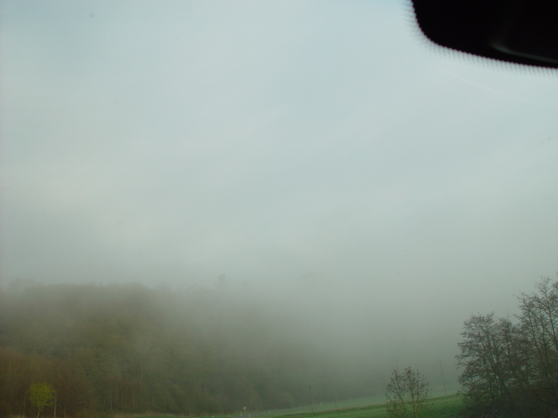 DSC07700.JPG