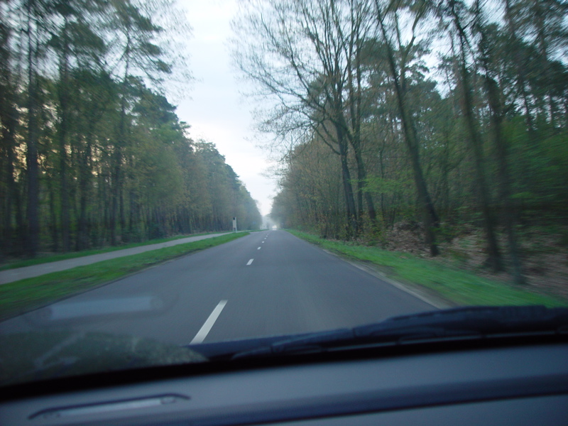 DSC07694.JPG