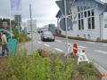 DSC07714.JPG