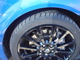 DSC07464.JPG