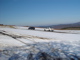 DSC07460.JPG