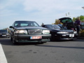 DSC08349.JPG