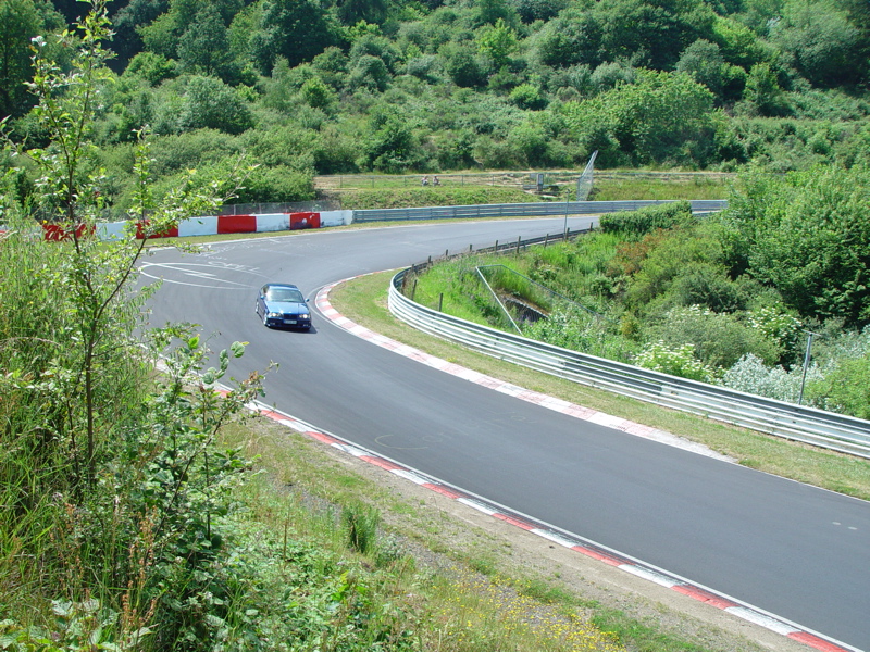 DSC08013.JPG