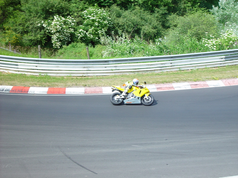 DSC08030.JPG