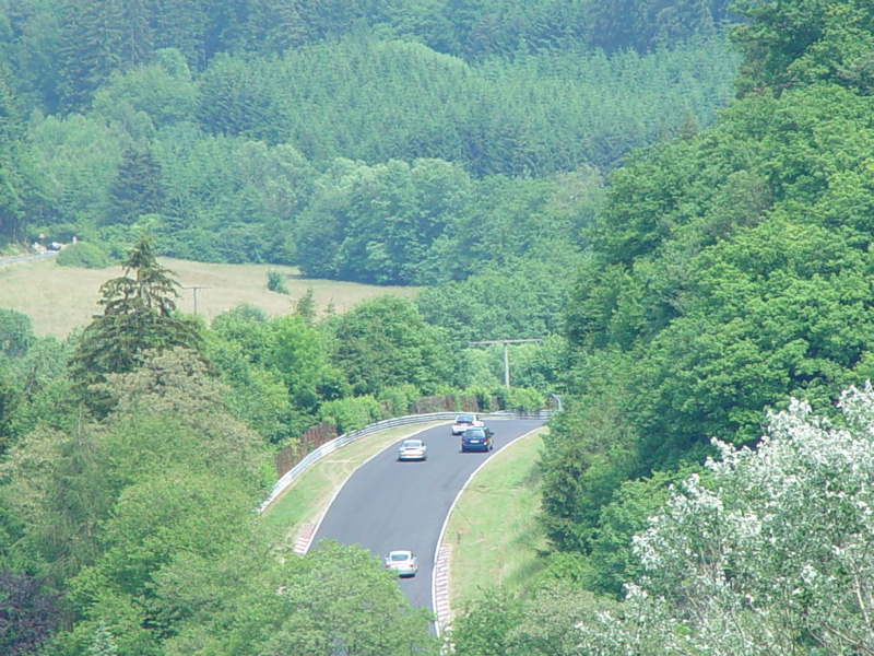 DSC08031.JPG