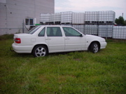 DSC06029.JPG