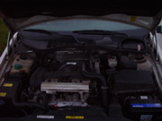 DSC06036.JPG