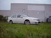 DSC06030.JPG