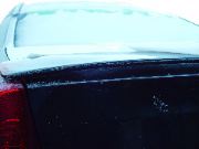 DSC03363.JPG