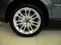 DSC00313.JPG