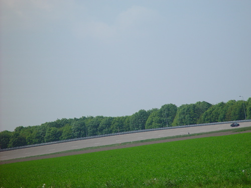 DSC04362.JPG