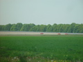 DSC04357.JPG
