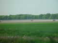 DSC04358.JPG