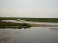 DSC04301.JPG