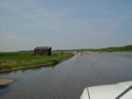 DSC04305.JPG