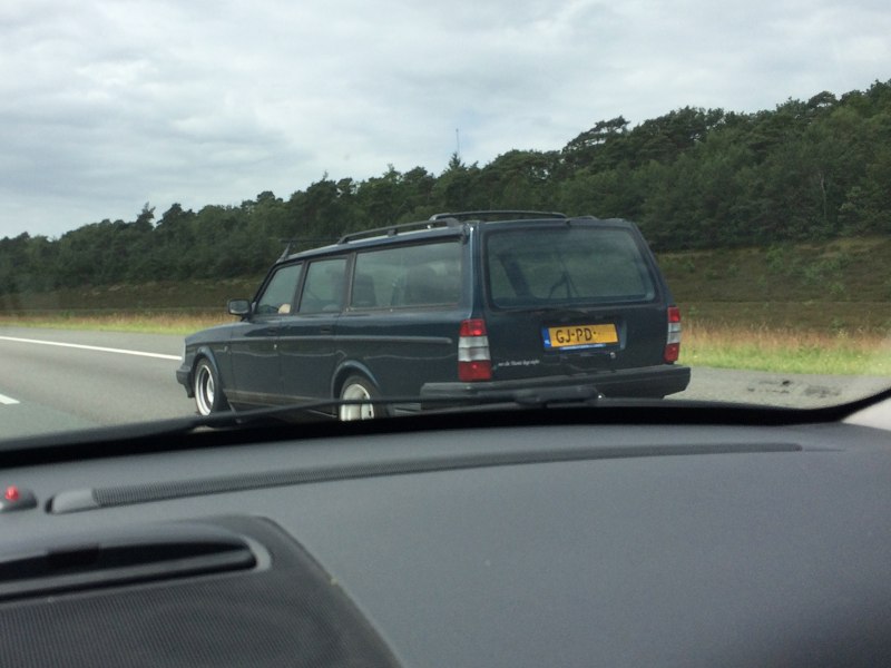 [Afbeelding: 245spotted.jpg]